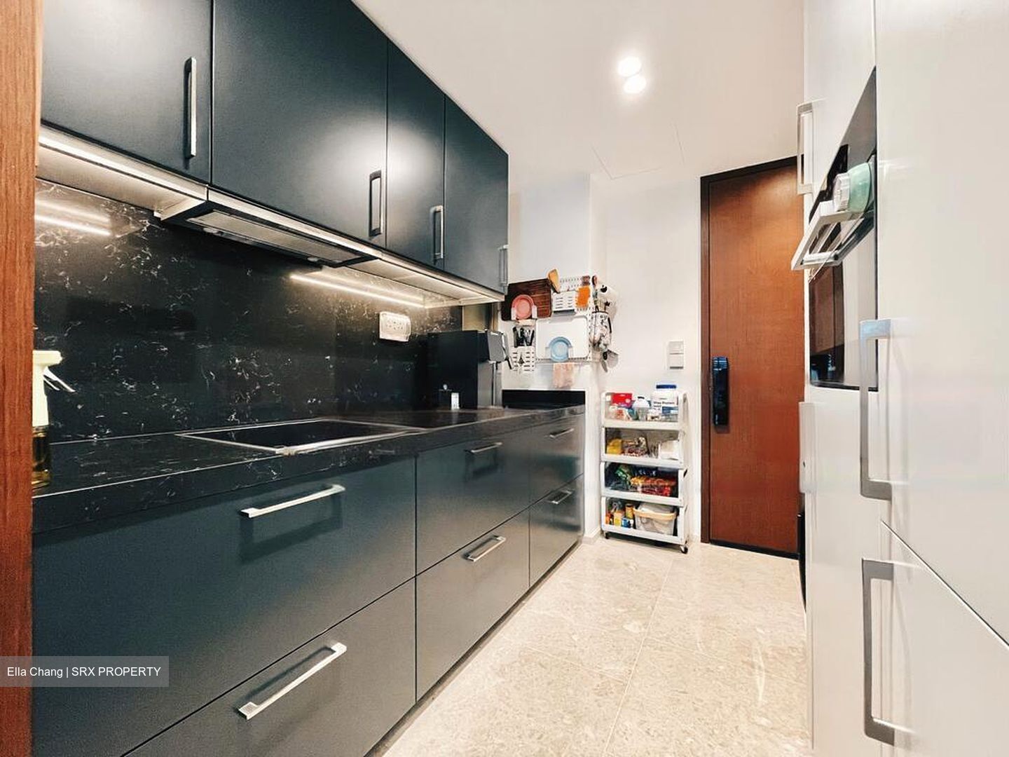 Draycott Park (D10), Condominium #472189091